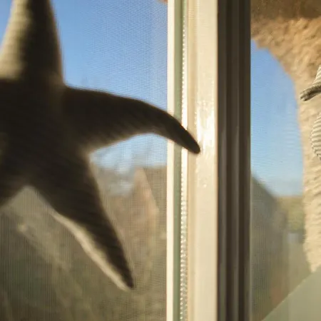 Σπίτι διακοπών Foehrienhaus Midlum (Schleswig-Holstein)