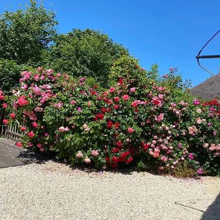 Föhrienhaus Stilvolle 5 Sterne Einheiten In Ruhiger Marschrandlage Auf Föhr Für Gäste, Besondere Schätzen, Gerne Auch Mit Hund