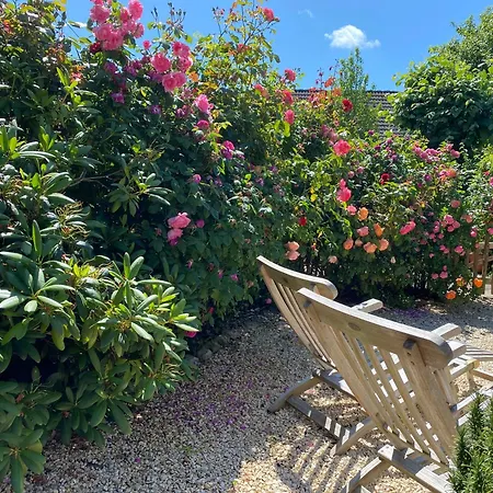 Сasa de vacaciones Föhrienhaus Stilvolle 5 Sterne Einheiten In Ruhiger Marschrandlage Auf Föhr Für Gäste, Besondere Schätzen, Gerne Auch Mit Hund Midlum (Schleswig-Holstein)
