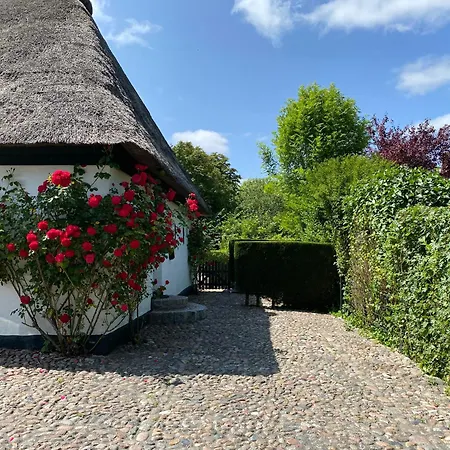 Foehrienhaus Stilvolle 5 Sterne Einheiten In Ruhiger Marschrandlage Auf Foehr Fuer Gaeste, Besondere Schaetzen, Gerne Auch Mit Hund