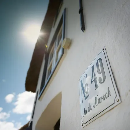 Сasa de vacaciones Föhrienhaus Stilvolle 5 Sterne Einheiten In Ruhiger Marschrandlage Auf Föhr Für Gäste, Besondere Schätzen, Gerne Auch Mit Hund *