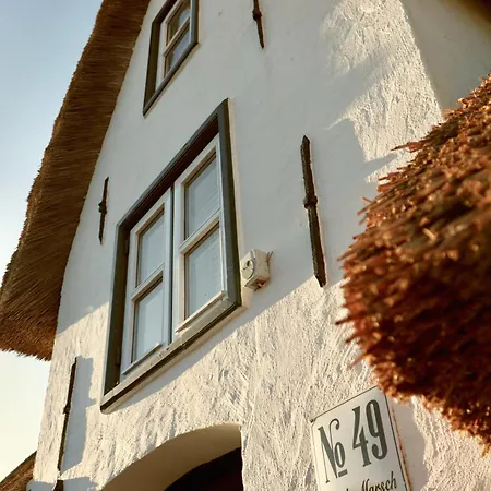 Сasa de vacaciones Föhrienhaus Stilvolle 5 Sterne Einheiten In Ruhiger Marschrandlage Auf Föhr Für Gäste, Besondere Schätzen, Gerne Auch Mit Hund